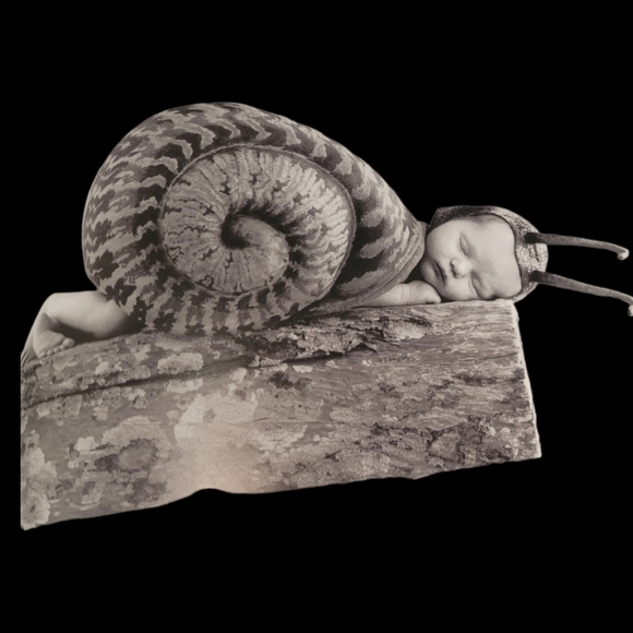 Anne Geddes "Down in the Garden" Big Coffee Table Book - Picture 12 of 16